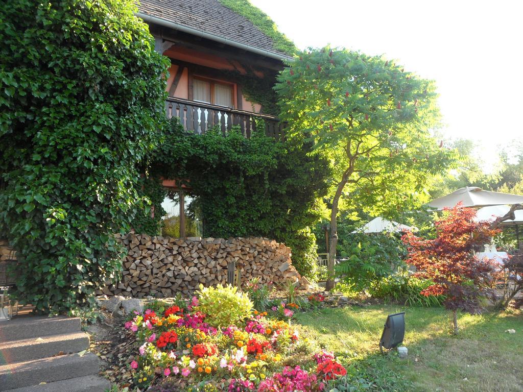 Hotel Restaurant Verger Des Chateaux, Route Des Vins Haut-Koenigsbourg Dieffenthal المظهر الخارجي الصورة