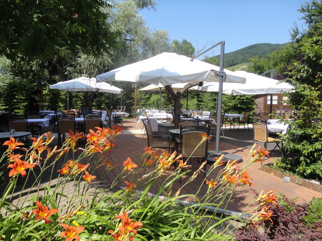 Hotel Restaurant Verger Des Chateaux, Route Des Vins Haut-Koenigsbourg Dieffenthal المظهر الخارجي الصورة